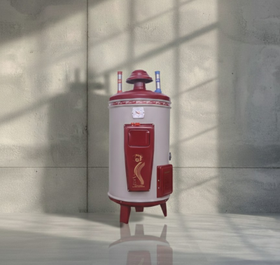 Hybrid Pro 15 Winner Electric and Gas Geyser 15 gallons